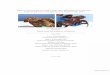 DWH-AR0149417used to quantify the injury to oceanic-stage sea turtles in the northem Gulf of Mexico caused by the DWH oil spill.. This report contains a detailed description of the