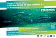 TIONAL - rivernet.org · l’environnnement“ de Beatrice Maurines et Chris-tian Dury, Univ. Lumière Lyon 2 -CNRS › philippe Boisneau, CONAPPED : Les pêcheurs professionnels