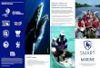 SMART values MARINE · SMART law enforcement monitoring enables the collection, storage, communication, and evaluation of data on patrol efforts, patrol results, and threat levels