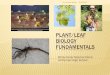 PLANT/LEAF BIOLOGY FUNDAMENTALS - UNC Charlotte · PLANT/LEAF BIOLOGY FUNDAMENTALS B3 Summer Science Camp at Olympic High School Dr. Jennifer Weller 6/9/2015