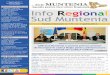 Newsletter ADR Sud Muntenia - regio.adrmuntenia.ro · Buletin Informativ nr. 171 /2 - 7 aprilie 2014 Publicaţie editată de Agenţia pentru Dezvoltare Regională Sud Muntenia INFO