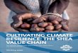 CULTIVATING CLIMATE RESILIENCE: THE SHEA VALUE CHAIN · 2020-03-04 · CULTIVATING CLIMATE RESILIENCE: THE SHEA VALUE CHAIN EXEC UTIVESUMMARY 6 brands in the cosmetic industry contribute