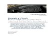 Royalty flush - The Australia Institute Royalty Flush - Risks... · Royalty Flush 1 Summary If Adanis armichael mine and other Galilee asin projects are developed, they will expand