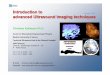 Introduction to update 2005 advanced Ultrasound Imaging ... · advanced Ultrasound Imaging techniques Introduction to advanced Ultrasound Imaging techniques Christian Kollmann Ph.D