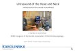 Ultrasound of the Head and Neck - welcome into the world of … · 2017-05-26 · Ultrasound of the Head and Neck - welcome into the world of ... •Hands on! Anatomy, puncture, cytology