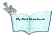 My Bird Notebook - Hubbard's Cupboardfiles.hubbardscupboard.org/My_Bird_Notebook.pdfThe Burgess Bird Book for Children from 1919. One bird was chosen to focus on from each chapter