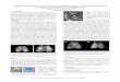 Computed Tomography and In Vivo 9.4 Tesla Magnetic Resonance Imaging … · 2017-01-30 · Computed Tomography and In Vivo 9.4 Tesla Magnetic Resonance Imaging as a Comprehensive