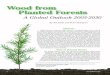 Wood from Planted Forests - Environment Portal · forests, responsible investors were required to take into accountalldimensionsasnon-marketvalues.Tofacilitate this,soundgovernance,institutional,policy,legalandreg-ulatory