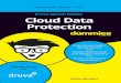 Cloud Data Protection For Dummies®, Druva Special Edition · 2019-07-31 · 2 Cloud Data Protection For Dummies, Druva Special Edition How This Book Is Organized As with other For