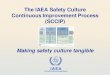 The IAEA Safety Culture Continuous Improvement Process (SCCIP) · •The IAEA Safety Culture Continuous Improvement Process provides comprehensive support to •perform safety culture
