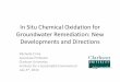 In Situ Chemical Oxidation for Groundwater Remediation: New Developments … remediation/3 In... · 2014-07-07 · In Situ Chemical Oxidation for Groundwater Remediation: New Developments