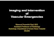 Imaging and Intervention of Vascular Emergencies€¦ · Imaging and Intervention of Vascular Emergencies Masoud Pezeshki Rad, M.D. ... Organ artery or peripheral artery embolization