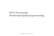 RNA Processing Posttranscriptional processing...RNA Processing Posttranscriptional processing Dr. Suheir Ereqat 2017/2018 . 5’ cap of mRNA: unusual 5’,5’-triphosphate linkage..-Protects