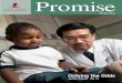 Promise – Spring 2010€¦ · 4 Promise / Spring 2010 Research Highlights Distinct origins found for immune cells Different sub-classes of a type of white blood cell involved in