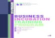 BUSINESS INCUBATION TRAINING PROGRAM INCUBATION-en (Dr Atef Elshabrawy for SIE...innovative business incubation initiatives, Experience with the used tools and methods to analysis