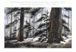 Painting Trees Workshop - Euclid Art Associationeuclidart.com/workshops/2018-04-28 David Rankin Trees in... · 2018-05-05 · Putting it all together in paintings with complex and