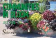 communities in bloom - Sicamous · Utility Box Wraps yes Utility boxes in all high profile locations have been wrapped as per the new Sicamous Brand Anti-Litter awareness yes Signage