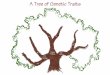 A Tree of Genetic Traits - Genome.govA Tree of Genetic Traits Activity Instructions This activity will help show you that there are physical features, like eye color, that are controlled