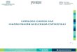 Presentación - Gobierno del Estado de Aguascalientes 2016 ...Motivación y autoestima 13 Código de Ética 14 Trabajo en equipo 15 Programación neuro-lingüística 16 Liderazgo situacional
