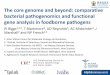 The core genome and beyond: comparative …The core genome and beyond: comparative bacterial pathogenomics and functional gene analysis in foodborne pathogens PJ Biggs1,2,3, T Blackmore4,