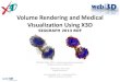 Volume Rendering and Medical Visualization Using …...Volume Rendering and Medical Visualization Using X3D SIGGRAPH 2013 BOF Nicholas Polys, Ph.D. ; Andrew Wood, Abhijit Gurjarpadhye