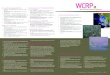 季风 （WCRP GEWEX/CLIVAR项目的相关活动） 水文(WCRP … › documents › WCRP_ChineseEnglish_flyer.pdf · • 中国气象局 • 中国气候变化网（国家气候中心和中国IPCC办公