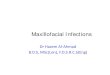 Maxillofacial Infections - Yolaclinicaljude.yolasite.com/resources/Maxillofacial infections.pdf · Maxillofacial Infections • Odontogenic infections are usually mild ... Anatomy