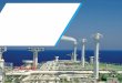 Major LNG projects: Navigating the new terrain · Major LNG projects: Navigating the new terrain | 2 Overview: This paper is intended to provide an overview of the issues that the