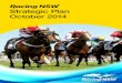 Strategic Plan October 2014 - racingnsw.com.au · Strategic Plan 3 Racehorse owners are prepared to sustain losses up to a level which reflects the qualitative benefits they enjoy