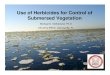 Use of Herbicides for Control of Submersed Vegetation · Use of Herbicides for Control of Submersed Vegetation Michael D. Netherland, Ph.D US Army ERDC, Gainesville, FL. The Scale