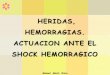 HERIDAS, HEMORRAGIAS. ACTUACION ANTE EL SHOCK …reanimovil.com/Media/reanimovil/dayvo/pdf/TEMAS...HERIDAS, HEMORRAGIAS. ACTUACION ANTE EL ... Control circulatorio y hemorragias. 4