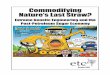 Commodifying Nature’s Last Straw? · PDF file “energy crops” such as switchgrass, fast-growing trees, algae, even mu-nicipal waste). The giant stumbling block is that it currently