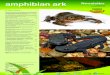AArk Newsletter amphibian ark · PDF file AArk Newsletter amphibian ark Number 44 September 2018 Keeping threatened amphibian species afloat Newsletter Number 44 September 2018 Amphibian