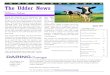 The Udder News - Human Resources › files › 2013 › 04 › The-Udder-News-Spring-201… · Page 7 The Udder News Doris Zampini, HR Assistant HR Reception – provide assistance