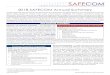 2018 SAFECOM Annual Summary - dhs.gov · established to address gaps within the National Incident Management System (NIMS) Incident Command System (ICS). In 2018, the CSTF continued