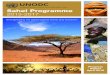 Sahel Programme 2013-2017...UNODC Sahel Programme 2013-2017 // Progress Report April 2015 3 Achievements The publication of a report («Dakar Declaration on Asset Disclosure») outlining