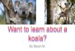 koala? Want to learn about a … · 08/05/2020  · You can see a koala at the zoo, but that is not where they normally live. Koalas live in various areas along the east coast of