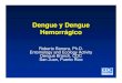 Dengue y Dengue Hemorrágico - Bio Nica · Características: Dengue epidémico con hipo-endemicidad • Un solo serotipo era introducido luego de la extinción previa del mismo u