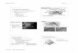 Mollusc Notes TOC# - Weeblyzanniedallara.weebly.com/uploads/9/7/8/6/...molluscanotestopost.pdf · Mollusc Notes TOC#_____ Zoology - Unit4: Phylogenetics 4 Class Cephalopoda – Communication