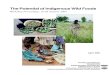 The Potential of Indigenous Wild Foods - FSN Networkvided more than $1 billion in humanitarian assistance to Sudan, of which $834 million was provided by USAID.3 It is estimated that
