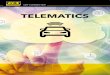 TELEMATICS€¦ · Our telematics solutions enable both raw and enriched data collection to support numerous business models for you as a fleet owner, car importer, car dealership