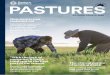 AUTUMN UPDATE 2020 - Pasture Geneticspasturegenetics.com/wp-content/uploads/2020/02/Pasture_Genetics... · XLR8™ XLR8™ treatment is a film coat application of Poncho® Plus insecticide