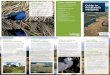 Guide to Auckland's wetlands › environment › plants...Guide to Auckland’s wetlands Help protect our wetlands • Use existing tracks and boardwalks and observe from the edges