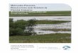 AN ASSESSMENT OF MUTUAL NEEDS AND FUTURE DIRECTIONS · 2018-07-31 · Wetland policies, regulation and science in Prairie Canada: An assessment of mutual needs and future directions