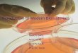 Introduction to Modern Biomaterials › ~pat › Courses... · 1/17/2006 4 Course Goals: zDifferentiate the various class of biomaterials; zDifferentiate the various analytical methods