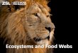 Ecosystems and Food Webs · Q2. What is a food chain? A food chain shows the different organisms that live in a habitat, and what eats what. Q3. Put the following native species into