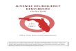 JUVENILE DELINQUENCY BENCHBOOK - Florida Courts...address juvenile delinquency in Florida. The benchbook was developed to assist both new and experienced judges in Florida who are