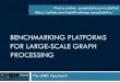 Benchmarking Platforms for Large-Scale Graph Processing ... · The data deluge: large-scale graphs Social network ~1 billion vertices ~100 billion connections Web graph ~50 billion
