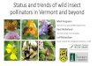 Status and trends of wild insect pollinators in Vermont and beyondanr.vermont.gov/sites/anr/files/specialtopics/mark_kent... · 2016-04-07 · Status and trends of wild insect pollinators