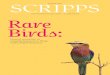 The Women’s College · ClaremonT Rare Birdsmagazine.scrippscollege.edu › wp-content › uploads › ... · Julia Haft-Candell, Lincoln visiting artist in ceramics at Scripps College
